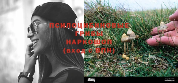 прущая мука Лабытнанги