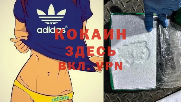 меф Ладушкин