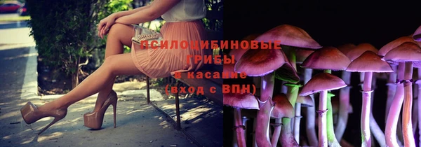 героин Лагань