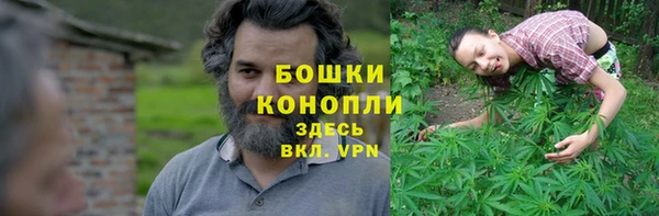 прущий лед Кропоткин