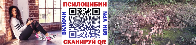 Псилоцибиновые грибы Cubensis  Никольск 
